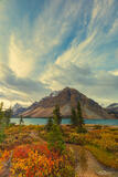 Symphony of Fall