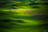 Solitude