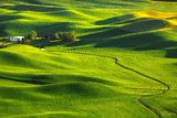 GREEN WORLD