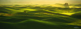 PALOUSE MORNING