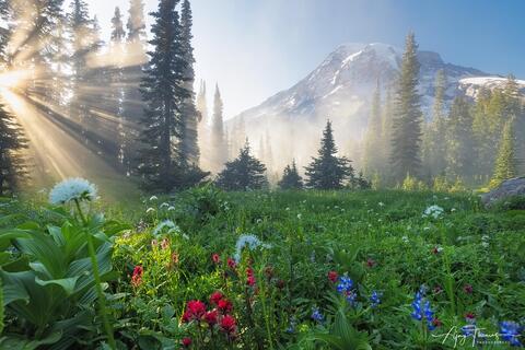 Tips for Capturing Stunning Natural Landscape Photos