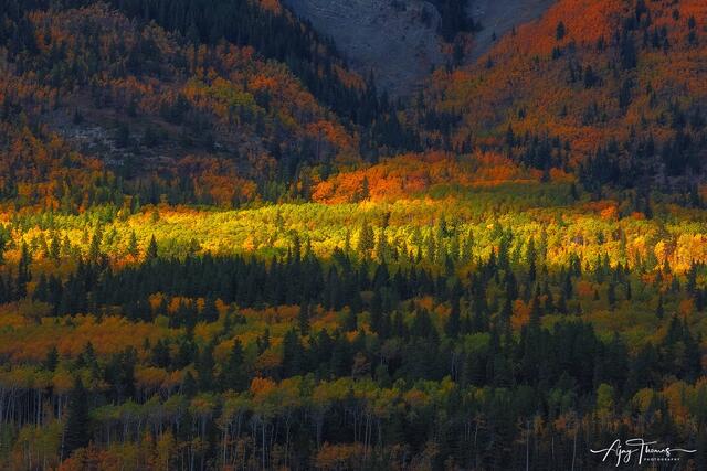 Mountain light and autumn colours 