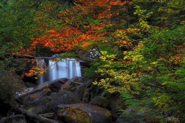 Autumn colours and waterfall 