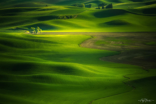 Solitude