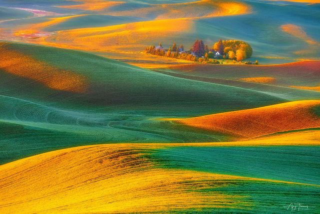 Colourful wheat field of Palouse in a beautiful morning .