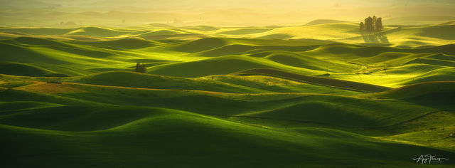 PALOUSE MORNING