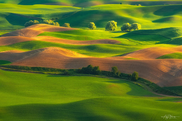 Whispering fields
