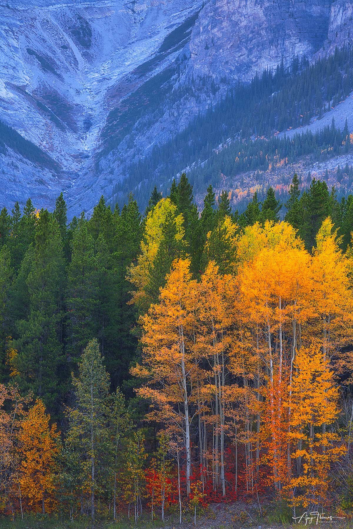 fall colour in mountains 