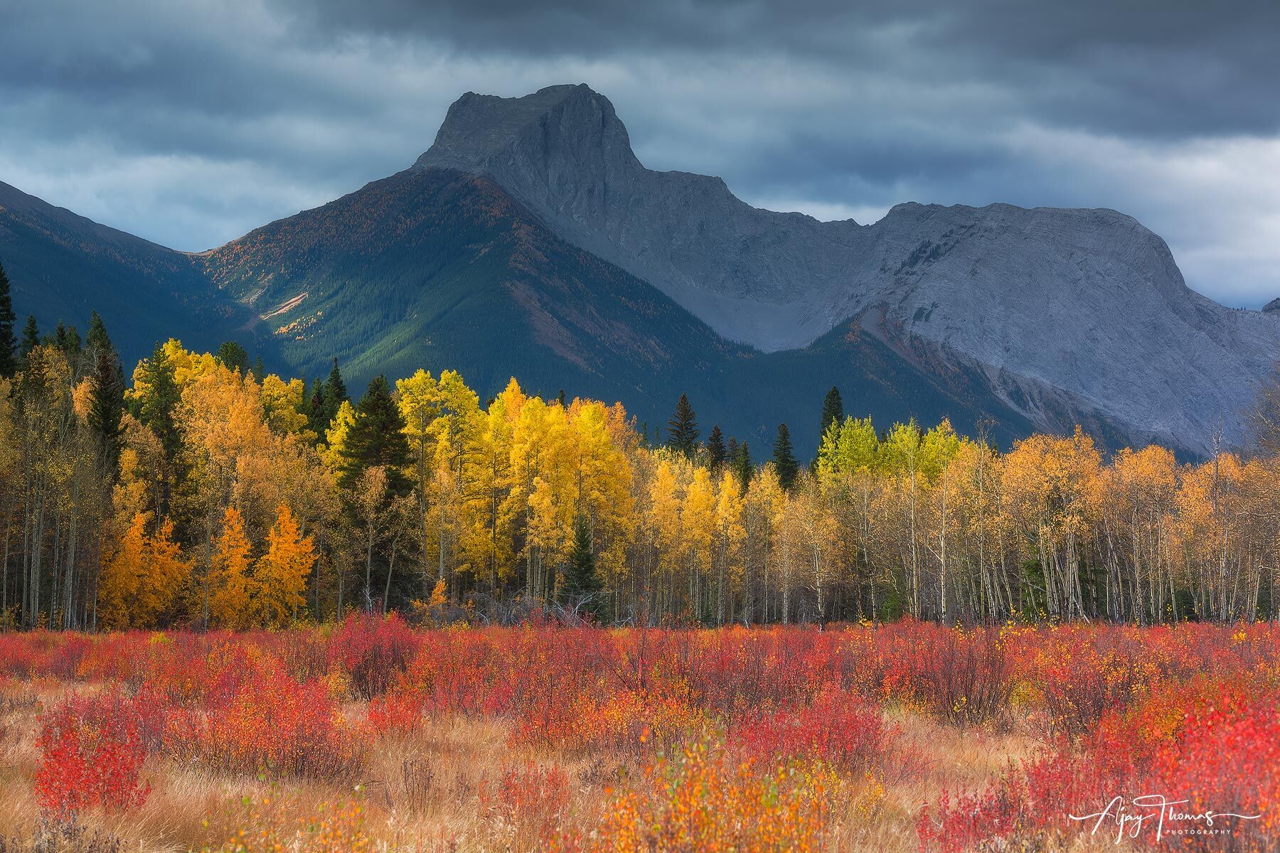 Fall colour meadows and Mountain 