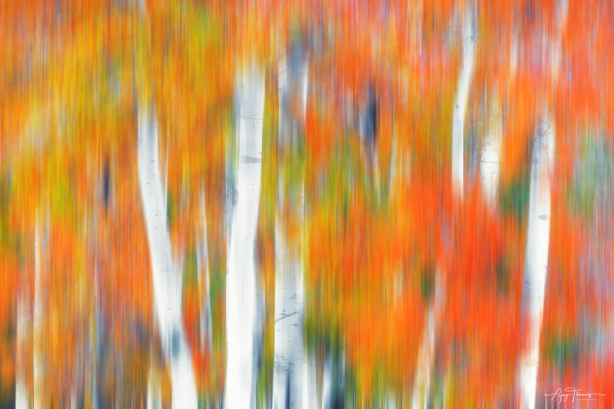 Autumn abstract