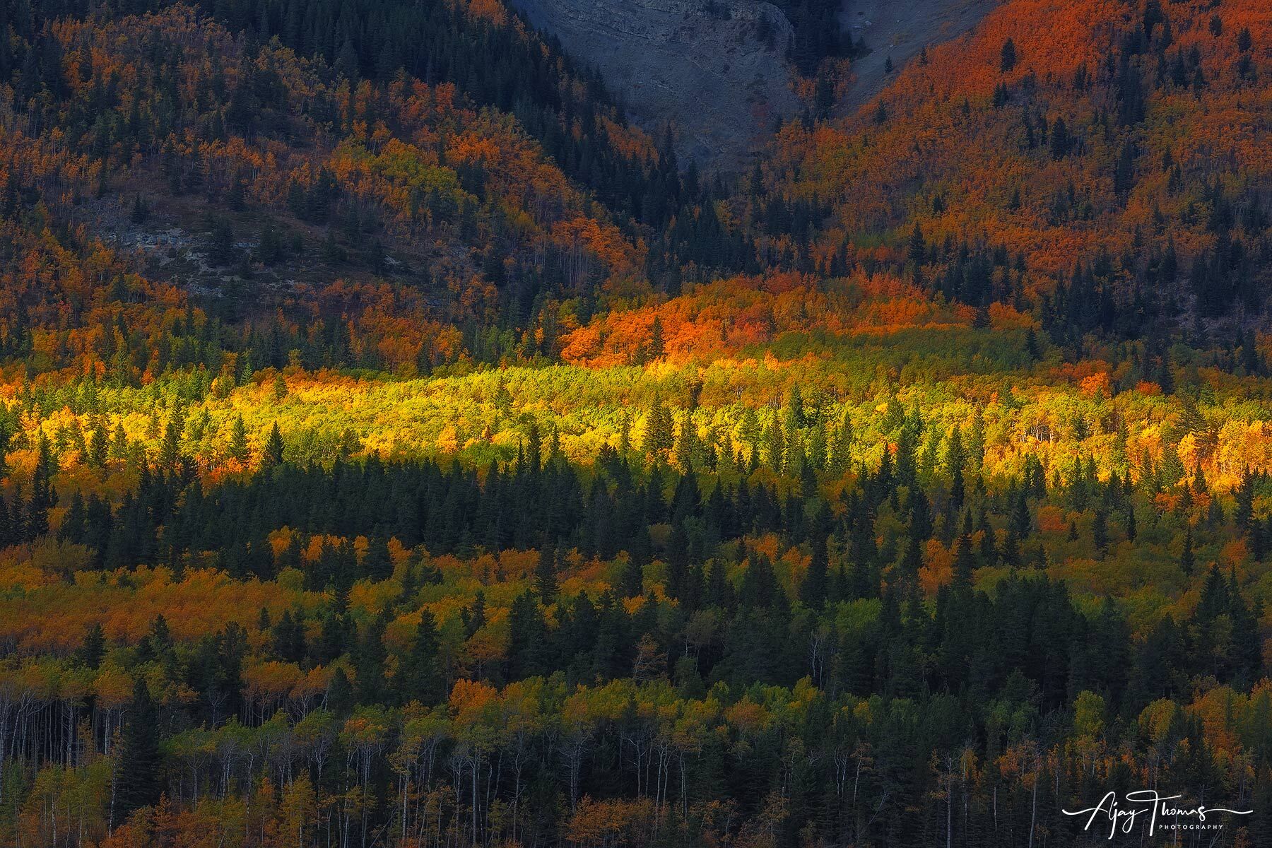 Mountain light and autumn colours 