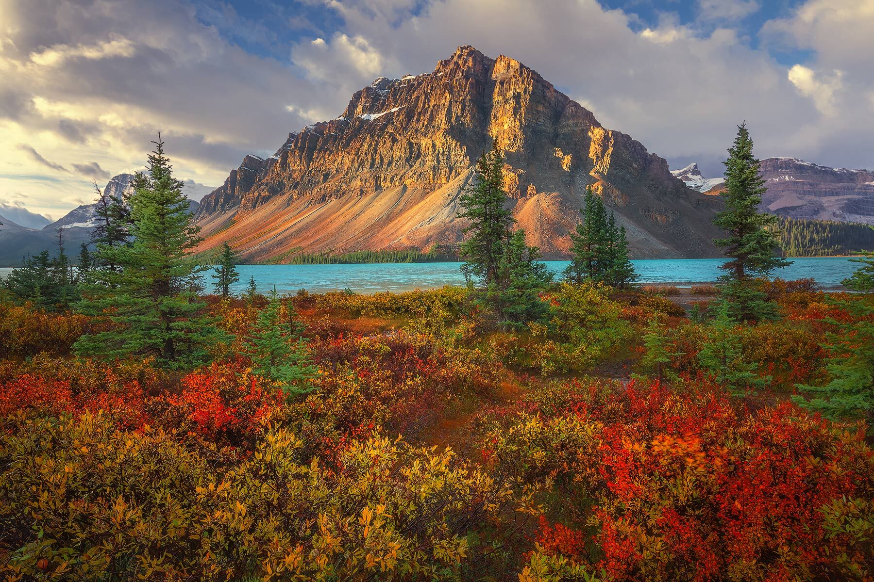 Fall colours in Bow lake, Ice field parkway , Alberta