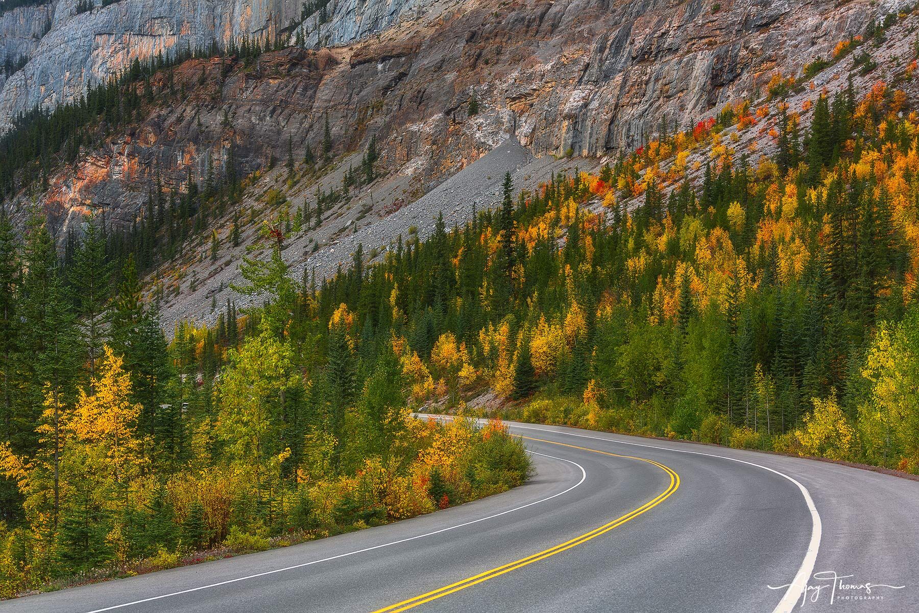 Wining road and fall colours .