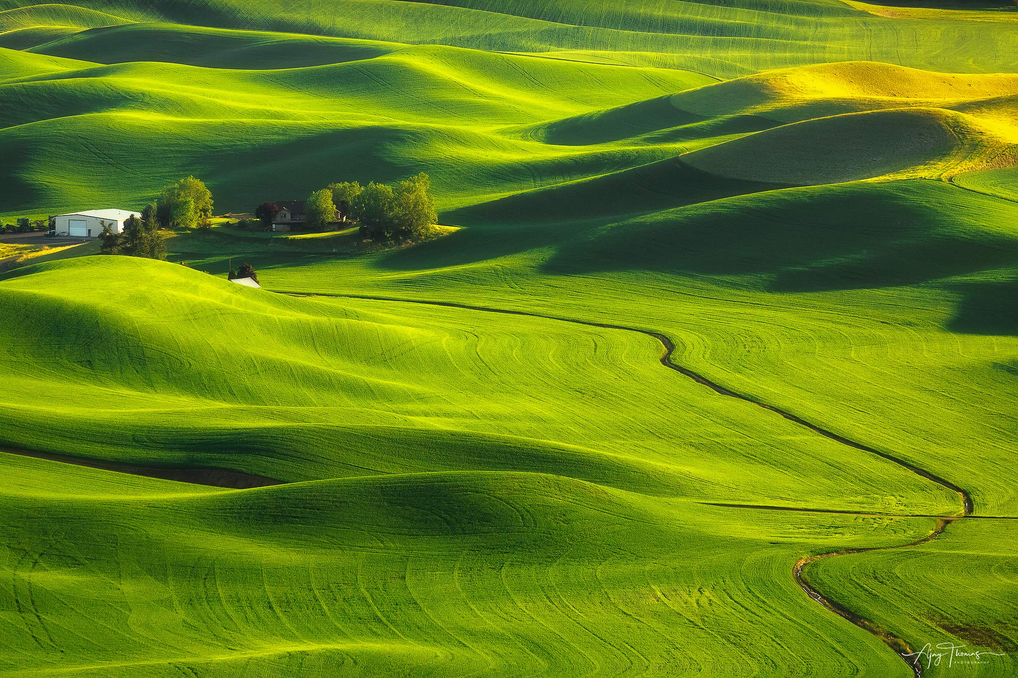 Green colour nature photo for home wall decoration 