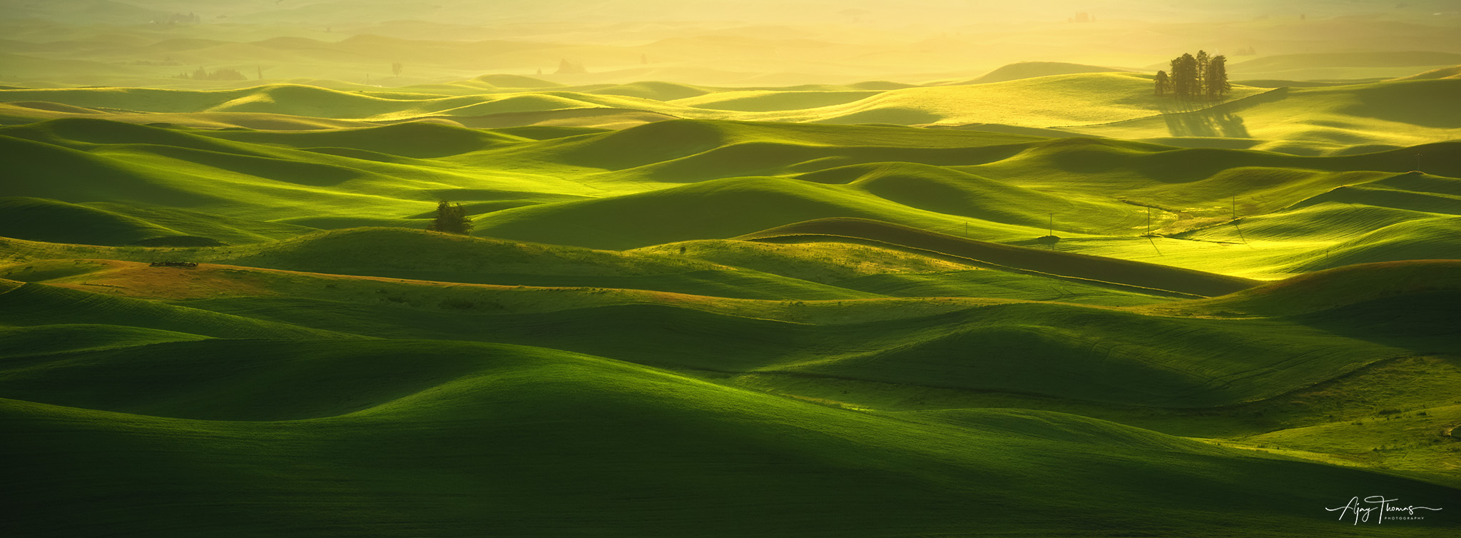 Sometimes referred to as “America’s Tuscany,” the Palouse region of Washington and Idaho is an expanse of rolling hills...