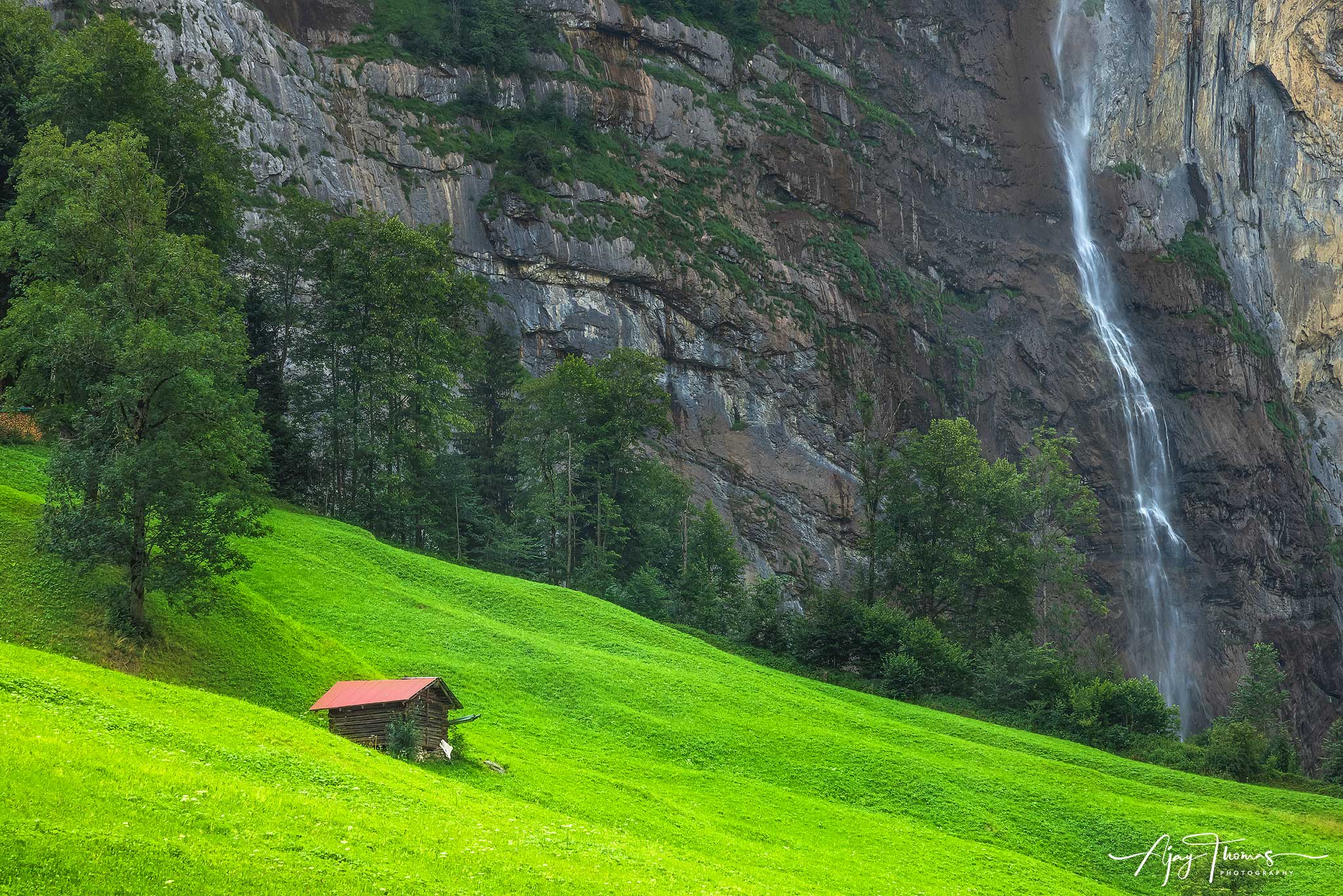 Swiss Splendor