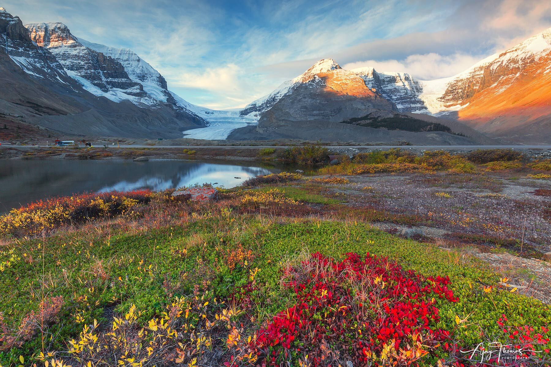 Alpine glow and fall colours 